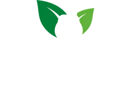 Mensu